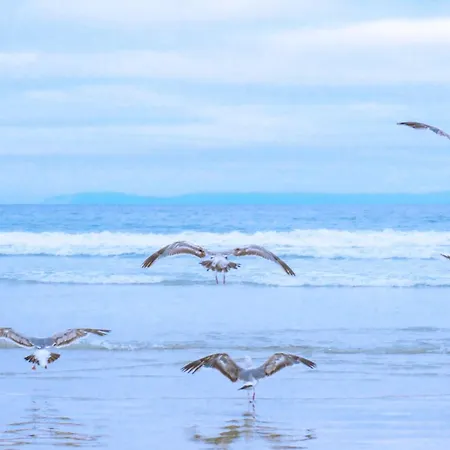 10 - Aan De Duinen, Aan Zee Apartment