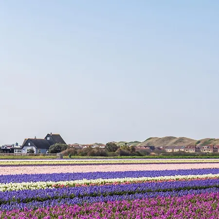 Appartement 10 - Aan De Duinen, Aan Zee