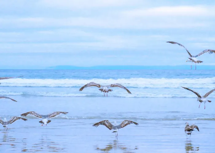 10 - Aan De Duinen, Aan Zee Apartment